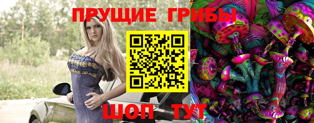 Волгоград  Галлюциногенные грибы MAGIC MUSHROOMS  Галлюциногенные грибы прущие грибы  Вход с VPN 