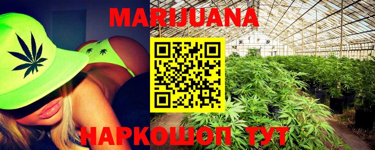 Шишки марихуана гибрид Волгоград